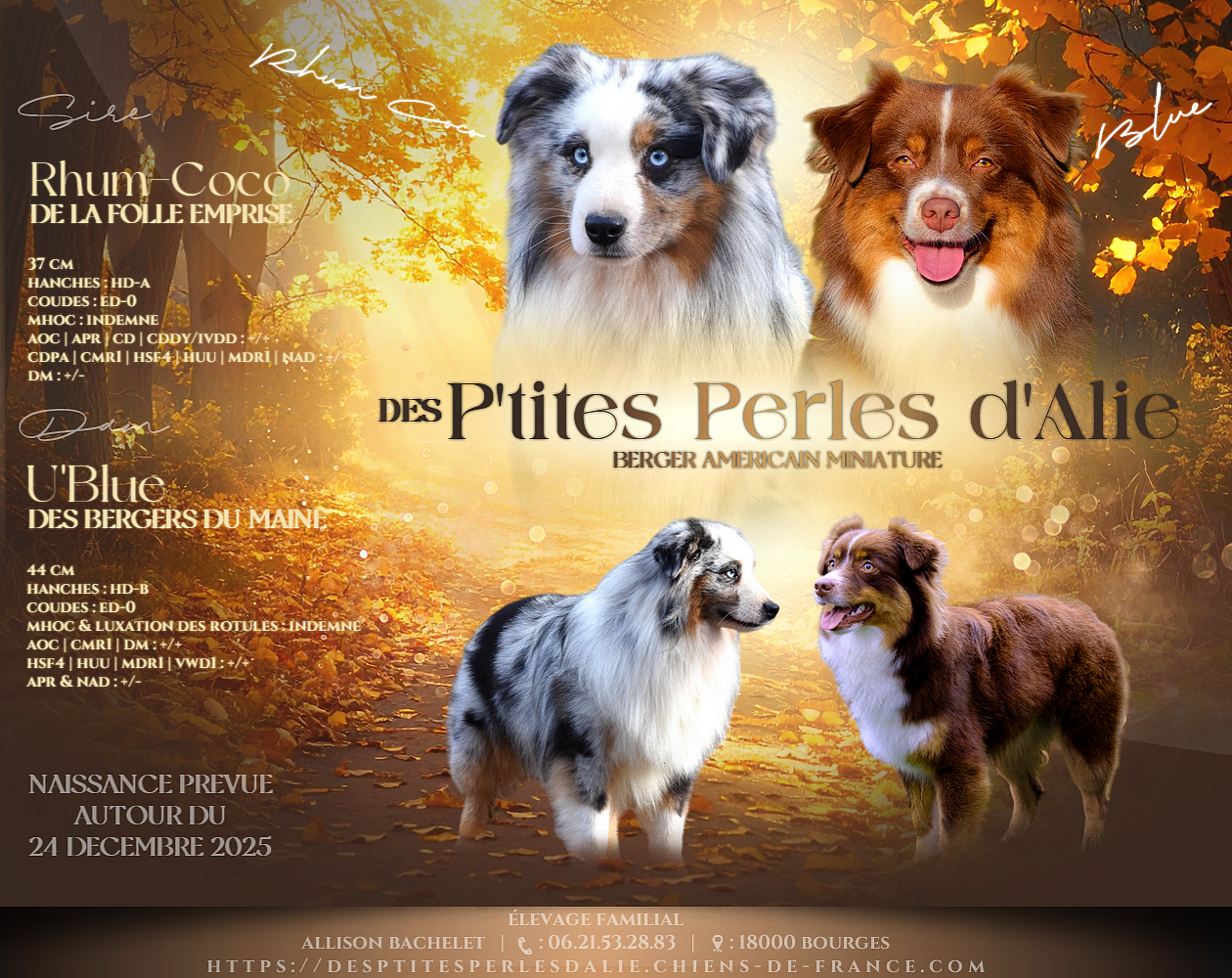 MARIAGE DE BLUE & RHUM COCO