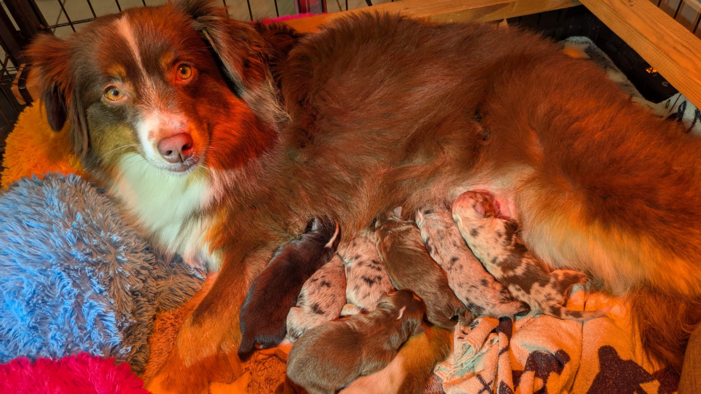 Les bébés sont là !!!